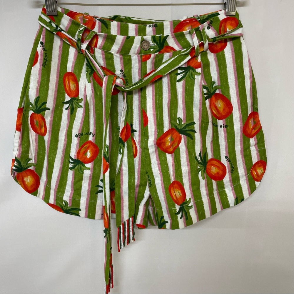 Farm Rio Linen Fresh Picked Striped Shorts - beaded belt detail XS